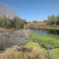Rio Bosque Wetlands Park - Santa Teresa
