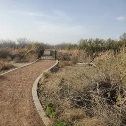 Rio Bosque Wetlands Park - Santa Teresa