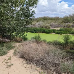 Rio Bosque Wetlands Park - Santa Teresa