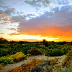 Rio Bosque Wetlands Park - Santa Teresa