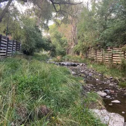 Big Ditch Park - Silver City