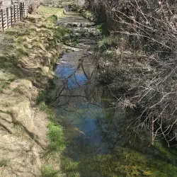 Big Ditch Park - Silver City