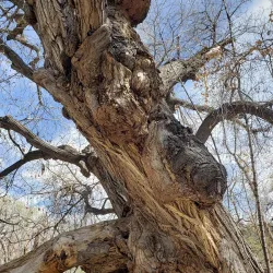 Big Ditch Park - Silver City