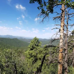 Gila National Forest - Silver City