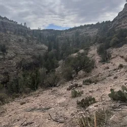 Gila National Forest - Silver City