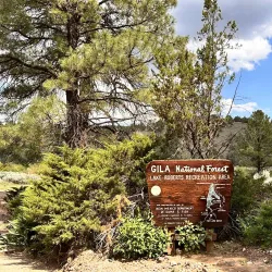 Gila National Forest - Silver City