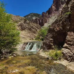 Gila National Forest - Silver City