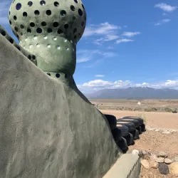Earthship Biotecture - Taos