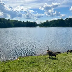 Albany Pine Bush Preserve - Albany