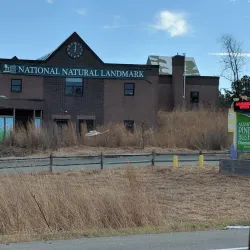 Albany Pine Bush Preserve - Albany