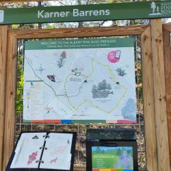 Albany Pine Bush Preserve - Albany