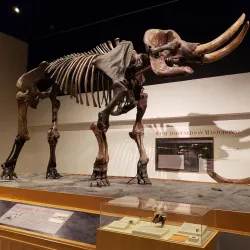 Empire State Plaza - Albany