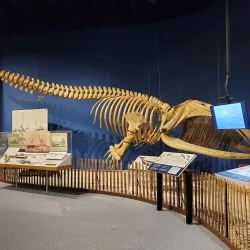 New York State Museum - Albany