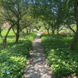 Ten Broeck Mansion - Albany