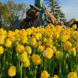 Washington Park - Albany