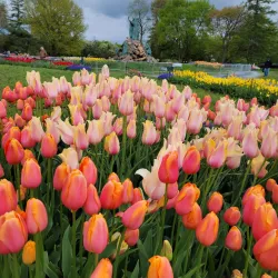 Washington Park - Albany