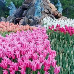 Washington Park - Albany