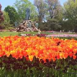 Washington Park - Albany