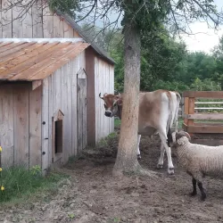 Buffalo Niagara Heritage Village - Amherst