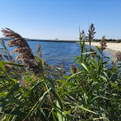 Amityville Skate Park - Amityville