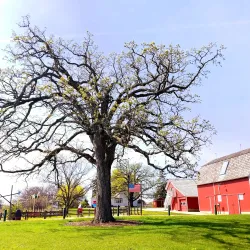 Millennium Park - Amityville