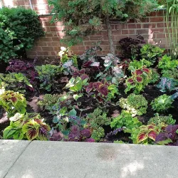 Steinway & Sons Piano Factory - Astoria