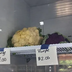 Bath Farmers Market - Bath