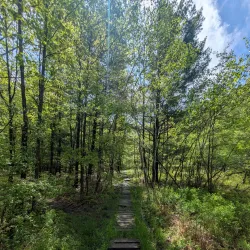 Binghamton University Nature Preserve - Binghamton