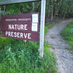 Binghamton University Nature Preserve - Binghamton