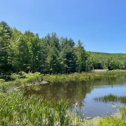 Binghamton University Nature Preserve - Binghamton