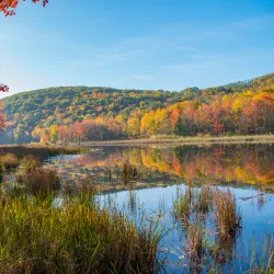 Binghamton University Nature Preserve - Binghamton