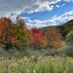 Binghamton University Nature Preserve - Binghamton