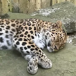 Binghamton Zoo at Ross Park - Binghamton