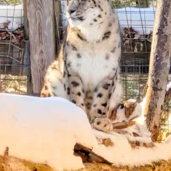 Binghamton Zoo at Ross Park - Binghamton