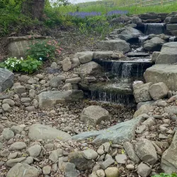 Cutler Botanic Garden - Binghamton