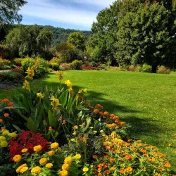 Cutler Botanic Garden - Binghamton