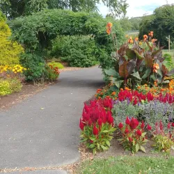 Cutler Botanic Garden - Binghamton