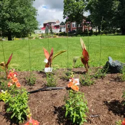 Cutler Botanic Garden - Binghamton