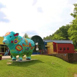 Discovery Center of the Southern Tier - Binghamton