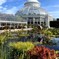 New York Botanical Garden - Bronx
