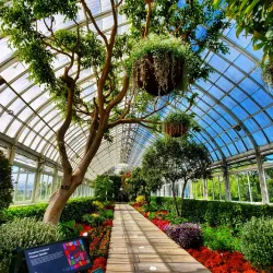 New York Botanical Garden - Bronx