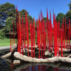 New York Botanical Garden - Bronx