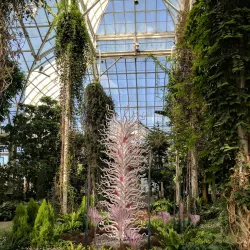 New York Botanical Garden - Bronx