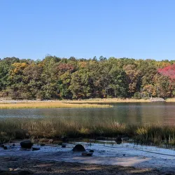 Pelham Bay Park - Bronx