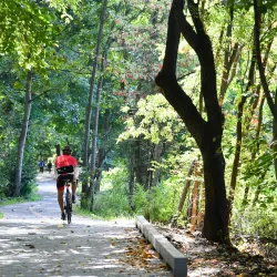 Van Cortlandt Park - Bronx