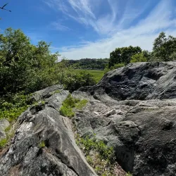 Van Cortlandt Park - Bronx