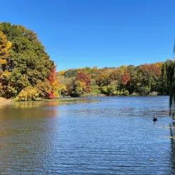 Van Cortlandt Park - Bronx