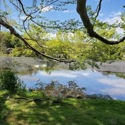 Frank Melville Memorial Park Nature Trails - Brookhaven