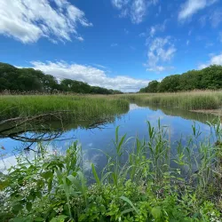 Frank Melville Memorial Park - Brookhaven
