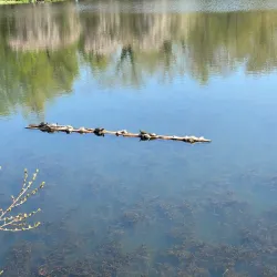 Frank Melville Memorial Park - Brookhaven
